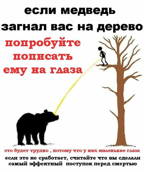Курилка- разговоры на любые темы - Бодибилдинг форум AnabolicShops