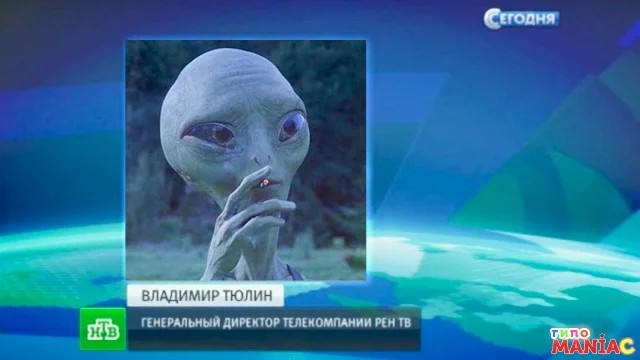 Ученые назвали простой способ защитить еду от чаек - Бодибилдинг форум AnabolicShops