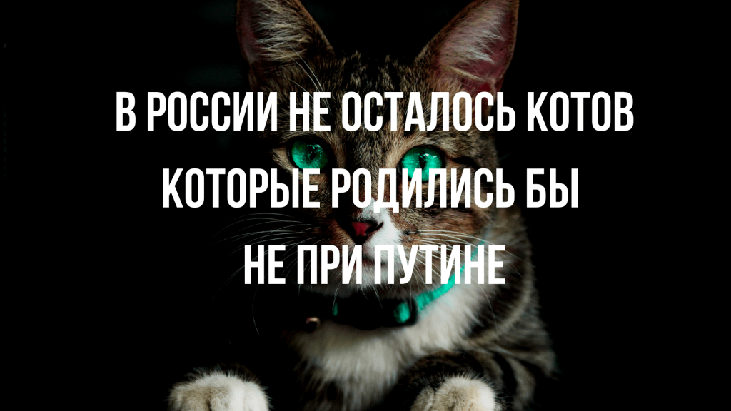 Анекдоты обо всем - Бодибилдинг форум AnabolicShops