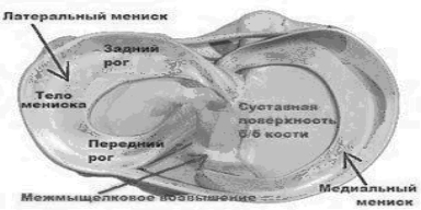 Травма мениска. - Бодибилдинг форум AnabolicShops