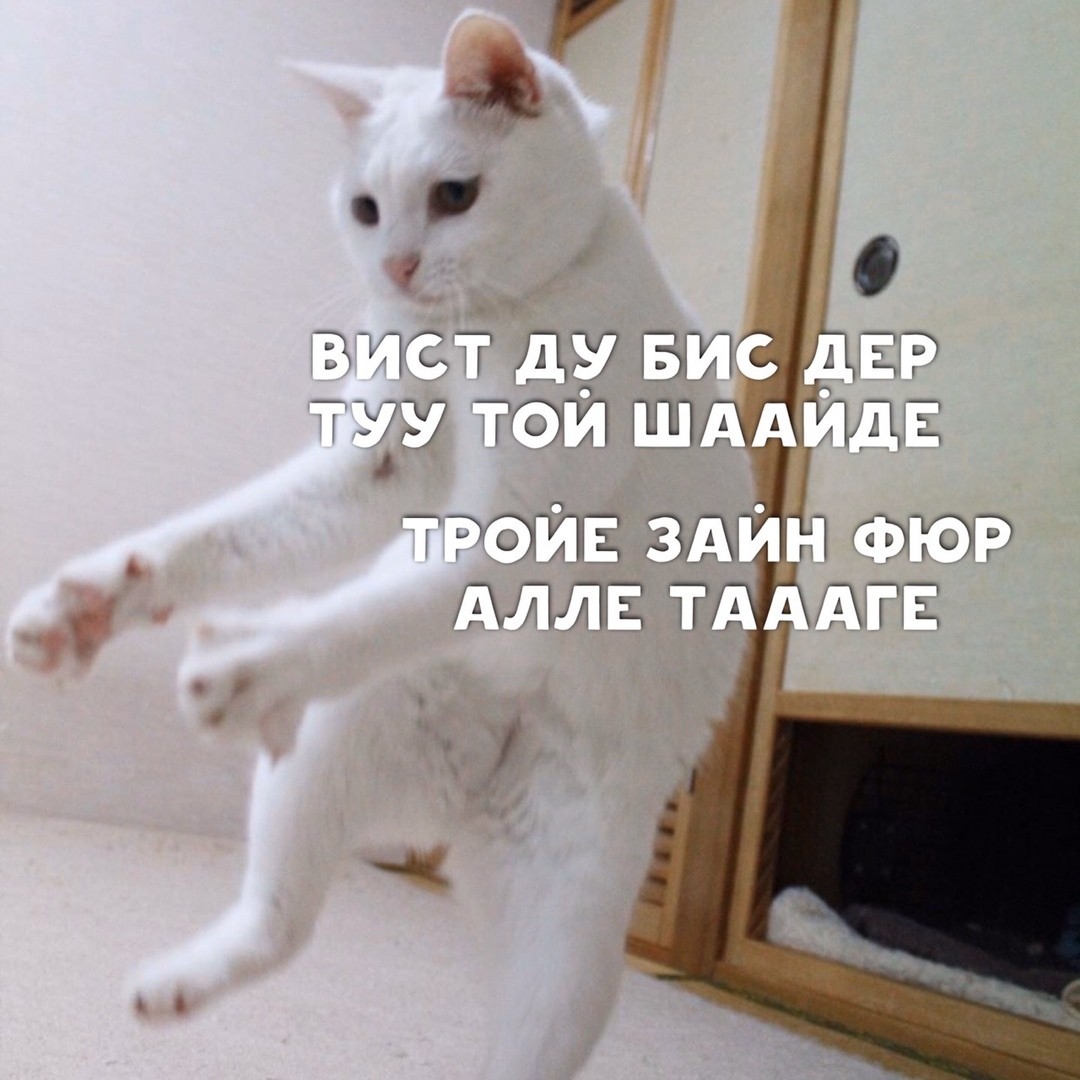 DevilsPharm.in.th - Бодибилдинг форум AnabolicShops