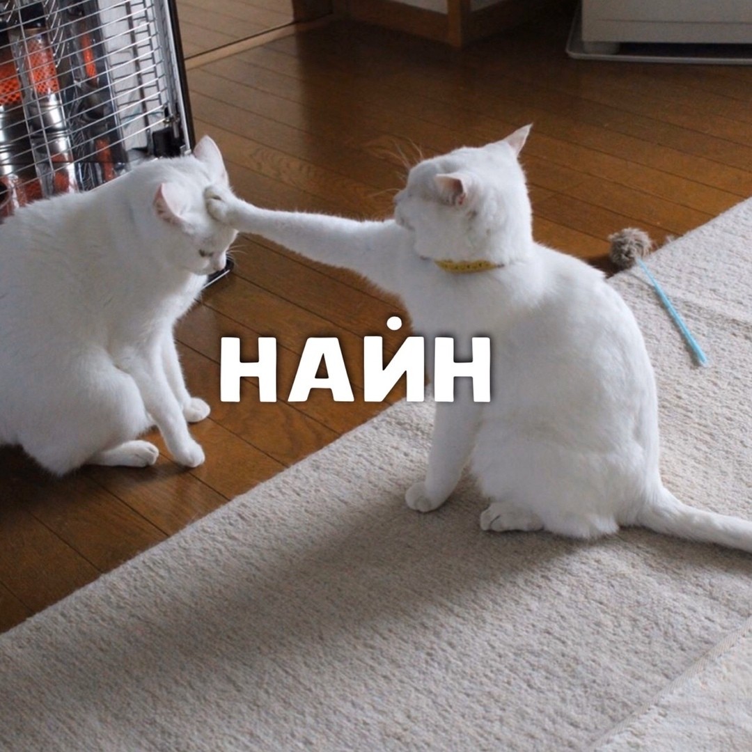 DevilsPharm.in.th - Бодибилдинг форум AnabolicShops