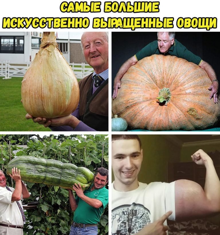 Руки-Базуки попросил об операции по удалению бицепсов из-за воспаления - Бодибилдинг форум AnabolicShops