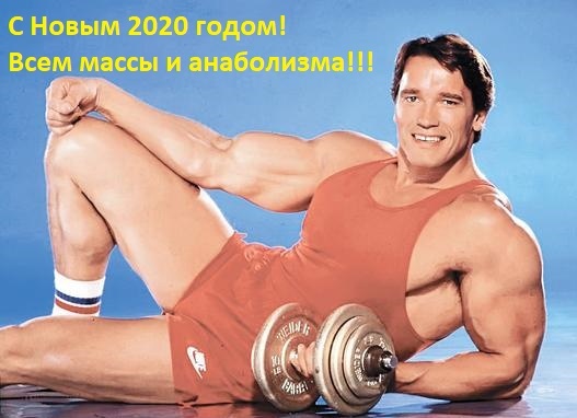 С Новым 2020 годом! - Бодибилдинг форум AnabolicShops