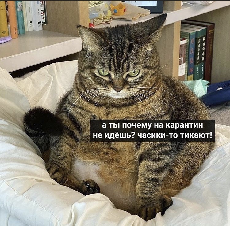 Закрытие  фитнес клубов в Москве - Бодибилдинг форум AnabolicShops