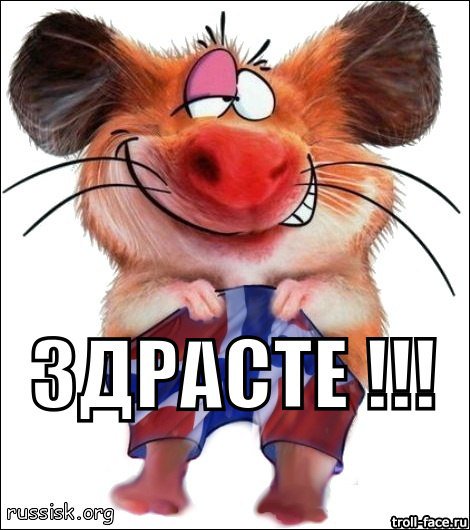 Курилка- разговоры на любые темы - Бодибилдинг форум AnabolicShops
