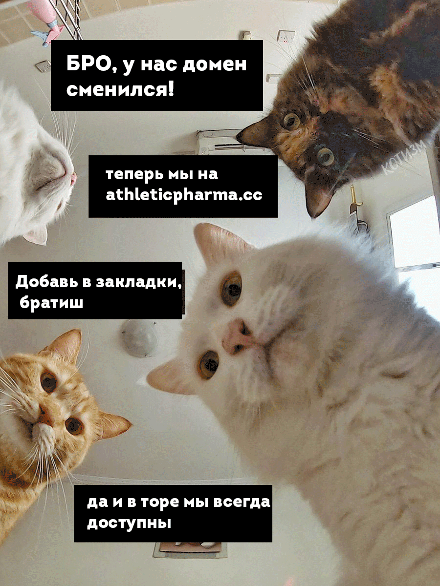 AthleticPharma - 16 лет честной работы! РФ=>РФ - Бодибилдинг форум AnabolicShops