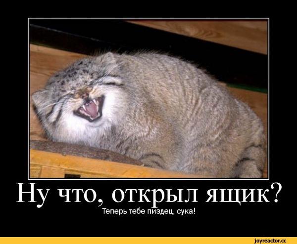 GerthShop.la - магазин спортивной фармакологии N1! - Бодибилдинг форум AnabolicShops