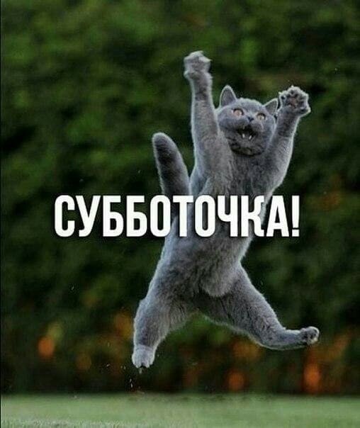 bestpharma.life - Бодибилдинг форум AnabolicShops