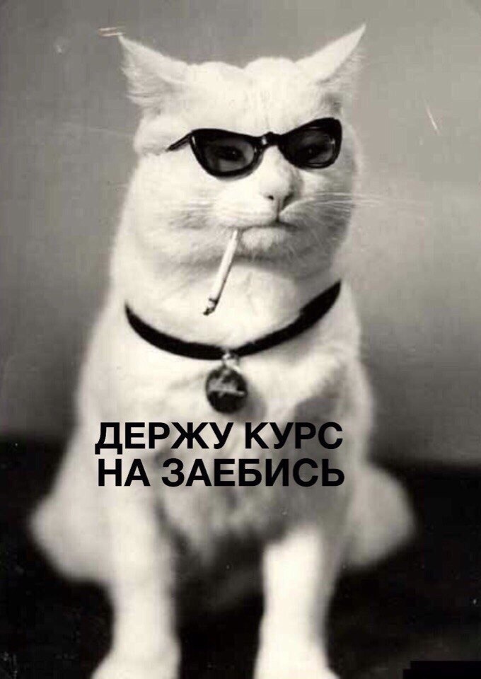 StoreGenerics.ru-Дженерики-все для ПКТ - Бодибилдинг форум AnabolicShops