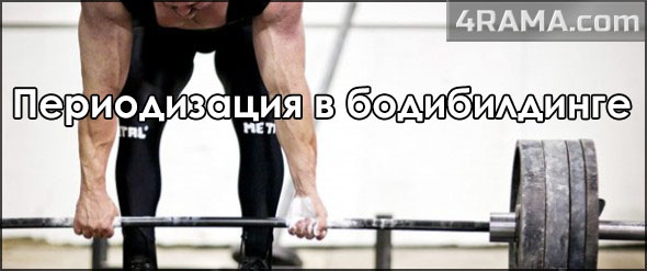 Периодизация в бодибилдинге - Бодибилдинг форум AnabolicShops