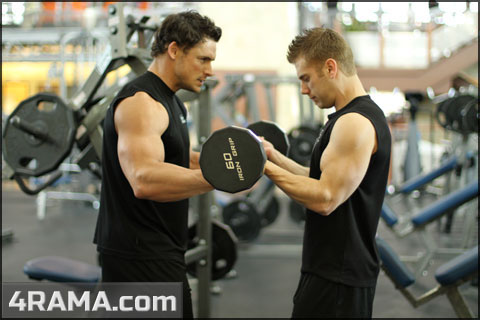 Периодизация в бодибилдинге - Бодибилдинг форум AnabolicShops