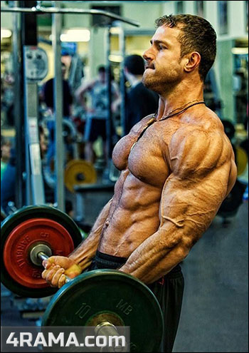 Сплиты в бодибилдинге - Бодибилдинг форум AnabolicShops