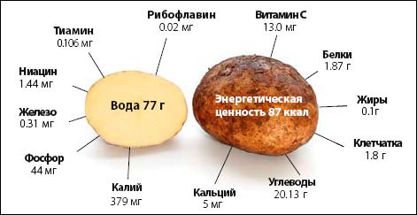 Картофель в бодибилдинге - Бодибилдинг форум AnabolicShops
