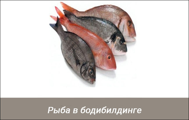 Рыба в бодибилдинге - Бодибилдинг форум AnabolicShops