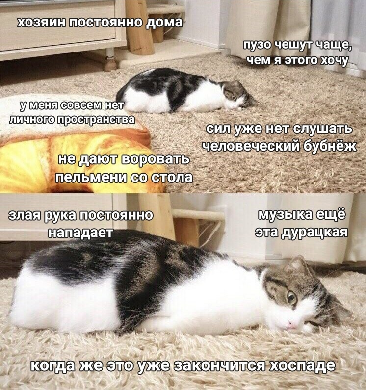 Курилка- разговоры на любые темы - Бодибилдинг форум AnabolicShops