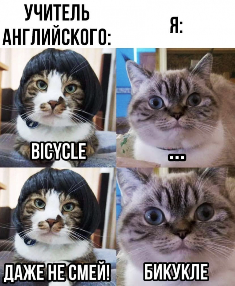 Курилка- разговоры на любые темы - Бодибилдинг форум AnabolicShops