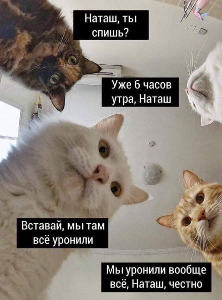 Курилка- разговоры на любые темы - Бодибилдинг форум AnabolicShops