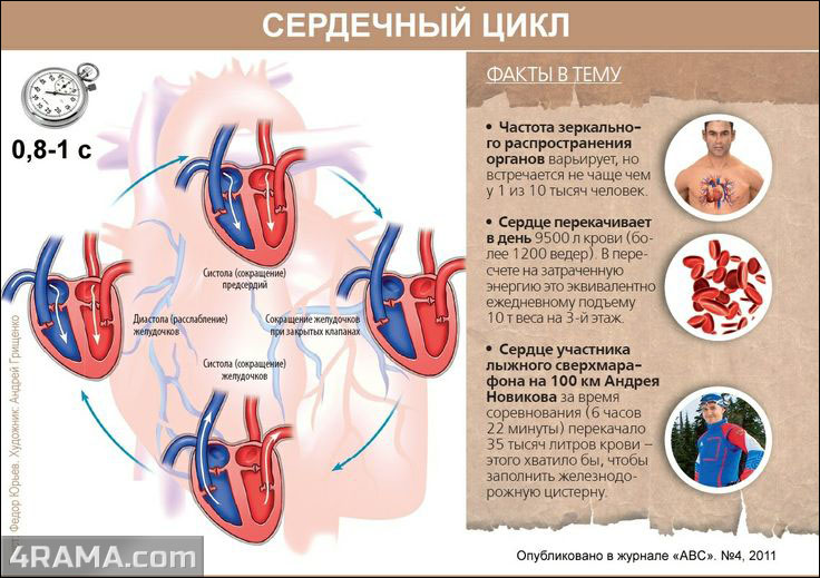 Бодибилдинг и сердце - Бодибилдинг форум AnabolicShops