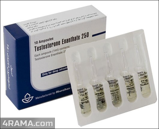 Testosterone Enanthate - Бодибилдинг форум AnabolicShops