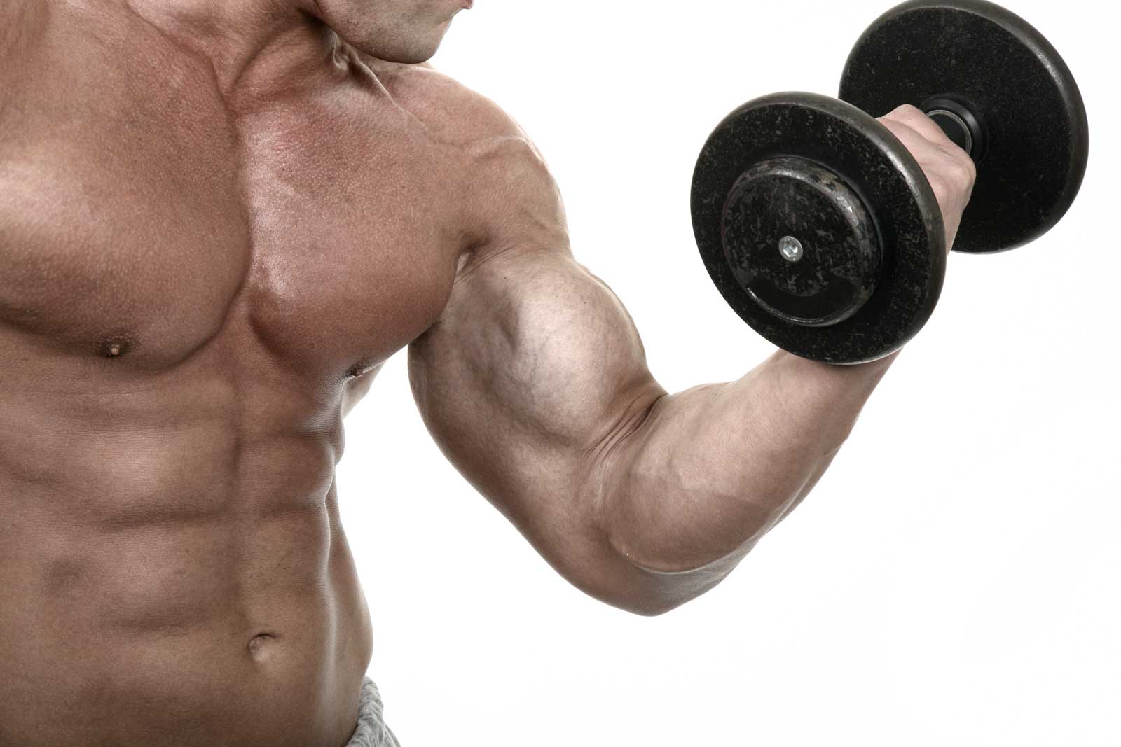 Рост бицепса - Бодибилдинг форум AnabolicShops