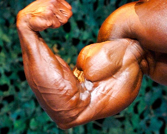 Рост бицепса - Бодибилдинг форум AnabolicShops