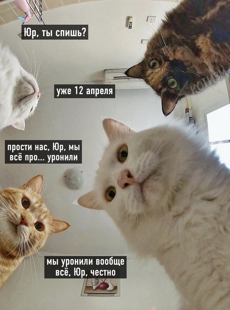 С Днем Космонавтики, дорогие товарищи! - Бодибилдинг форум AnabolicShops