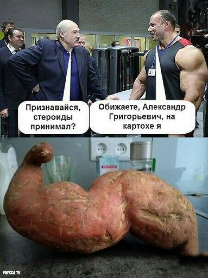 Курилка- разговоры на любые темы - Бодибилдинг форум AnabolicShops