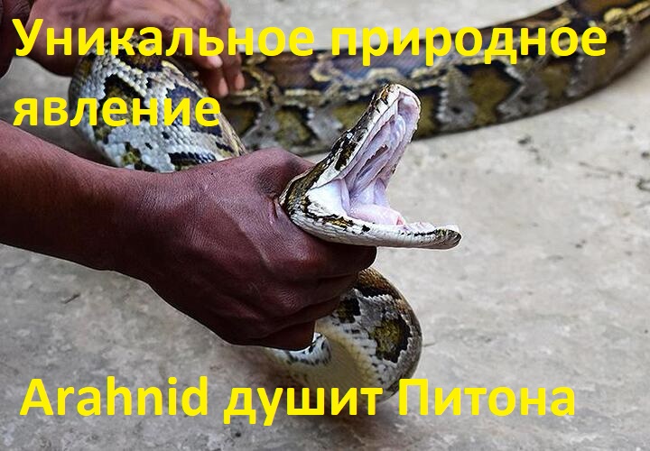 Новостной дайджест от 24.06.2021 - Бодибилдинг форум AnabolicShops