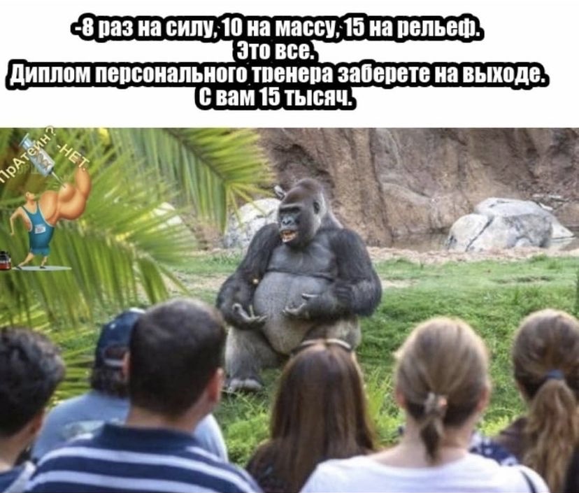 Какая диета подходит Бодибилдеру. - Бодибилдинг форум AnabolicShops