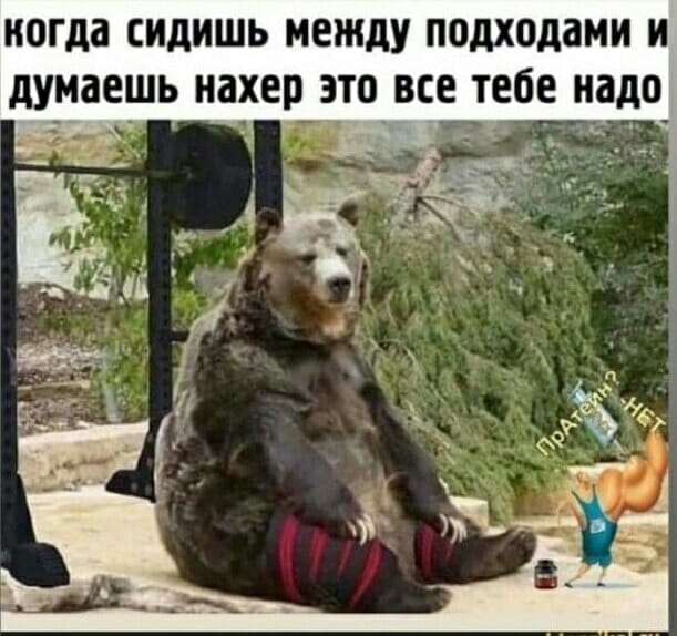 Курилка- разговоры на любые темы - Бодибилдинг форум AnabolicShops