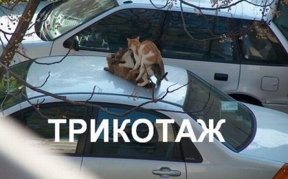 Анекдоты обо всем - Бодибилдинг форум AnabolicShops