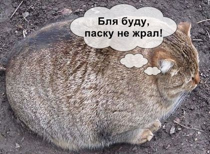 Курилка- разговоры на любые темы - Бодибилдинг форум AnabolicShops