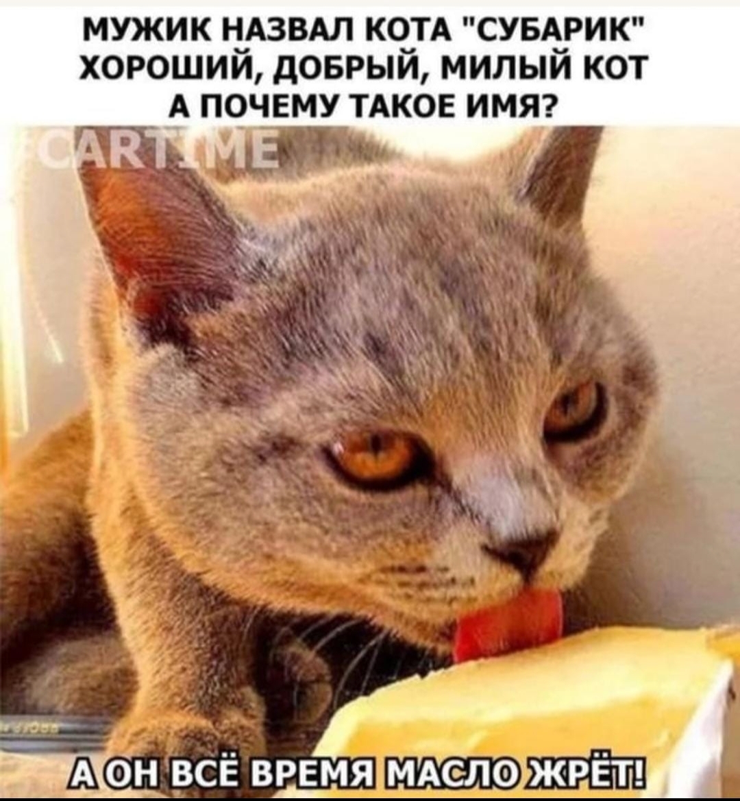 Анекдоты обо всем - Бодибилдинг форум AnabolicShops