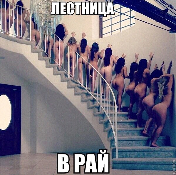Курилка- разговоры на любые темы - Бодибилдинг форум AnabolicShops