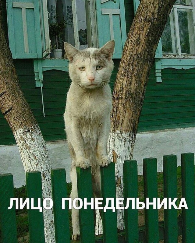 Курилка- разговоры на любые темы - Бодибилдинг форум AnabolicShops