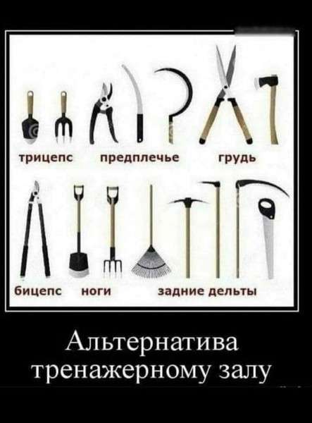 Курилка- разговоры на любые темы - Бодибилдинг форум AnabolicShops