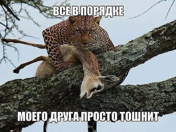 Курилка- разговоры на любые темы - Бодибилдинг форум AnabolicShops