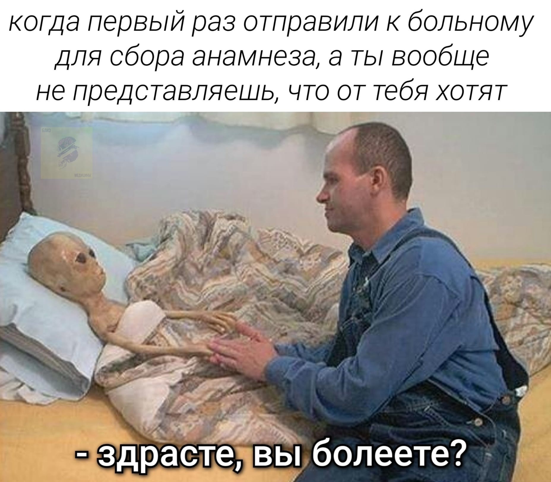 Коленный гайд - Бодибилдинг форум AnabolicShops
