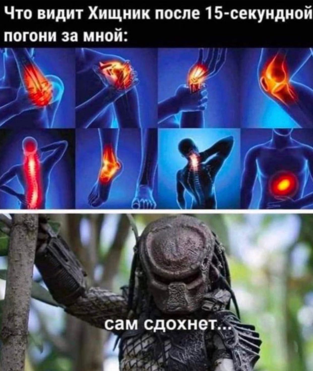 Коленный гайд - Бодибилдинг форум AnabolicShops
