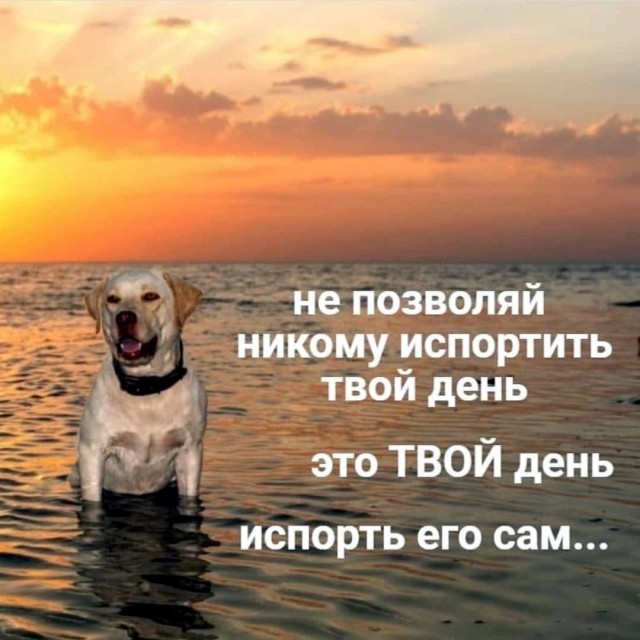 Анекдоты обо всем - Бодибилдинг форум AnabolicShops