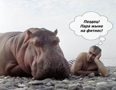 Курилка- разговоры на любые темы - Бодибилдинг форум AnabolicShops