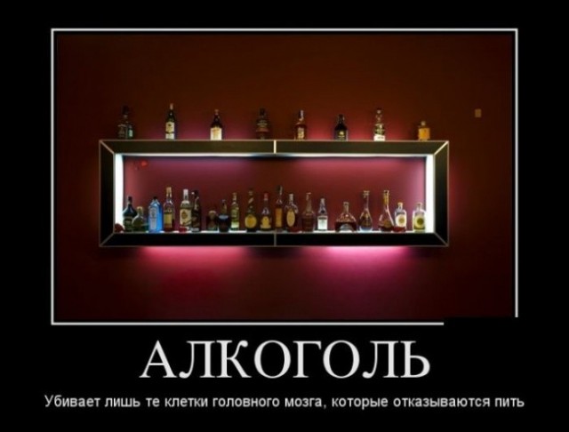 Анекдоты обо всем - Бодибилдинг форум AnabolicShops