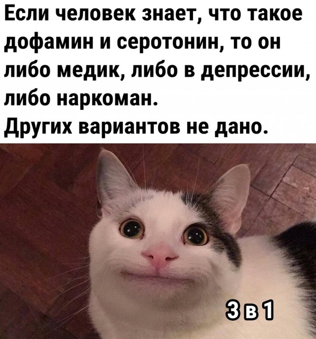 Курилка- разговоры на любые темы - Бодибилдинг форум AnabolicShops