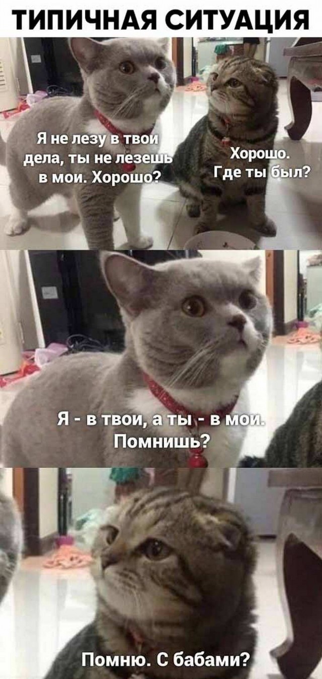 Анекдоты обо всем - Бодибилдинг форум AnabolicShops