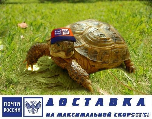 Hilma PRO - с заботой о вашем здоровье! - Бодибилдинг форум AnabolicShops
