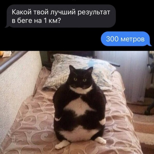 Курилка- разговоры на любые темы - Бодибилдинг форум AnabolicShops