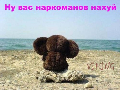 Анекдоты обо всем - Бодибилдинг форум AnabolicShops
