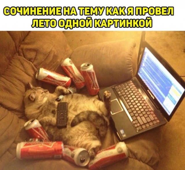 Новостной дайджест от 14.09.2022 - Бодибилдинг форум AnabolicShops