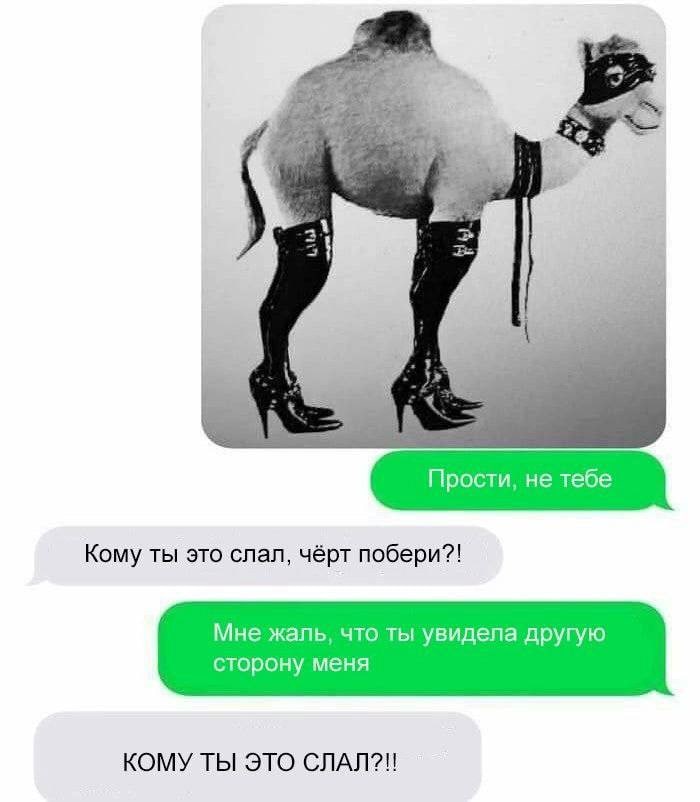 Курилка- разговоры на любые темы - Бодибилдинг форум AnabolicShops